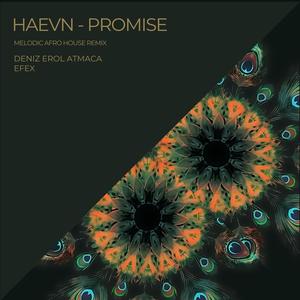 HAEVN (Promise) Remake (Melodic Afro House)