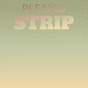 Pleaded Strip