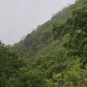 leave / too late (Explicit)