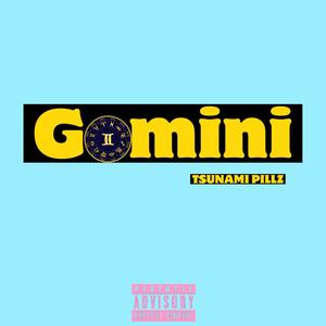 GEMINI (Explicit)