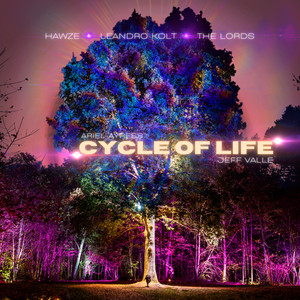 Cycle of Life (Leandro Kolt Remix)
