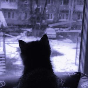 summer of empty streets