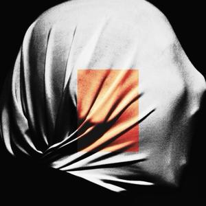 Can't Escape The Night