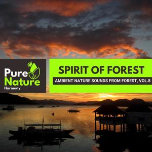 Spirit of Forest - Ambient Nature Sounds from Forest, Vol.8