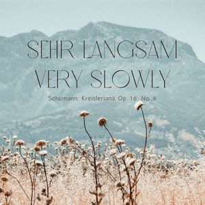 Schumann: Kreisleriana, Op. 16: No. 6, Sehr langsam - Very slowly