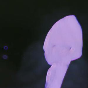 Blonde Moment (feat. CustodyMusic) (Slowed & Reverb) (Explicit)