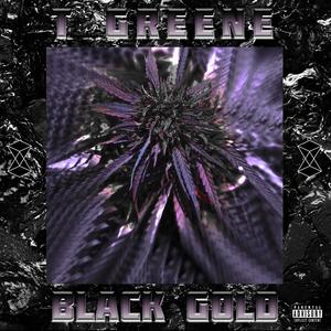 Black Gold (Explicit)