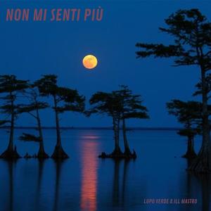 Non mi senti più (feat. ILL Mastro)