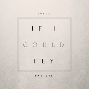 If I Could Fly