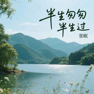 半生匆匆半生过