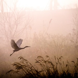 一个人离开 (女版)