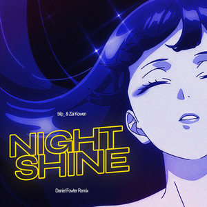 Night Shine (Daniel Fowler Remix)