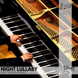 Romantic Midnight Piano (B Major)