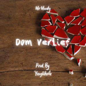 Dom Verlief (feat. Mr Moody|Explicit)
