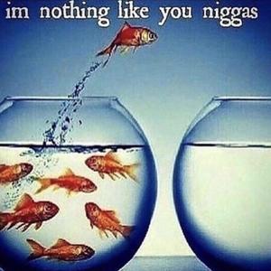 ion like u niggas (y2k) (Explicit)