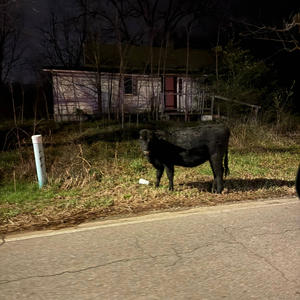 D.0.X. (feat. R!0t) (Explicit)