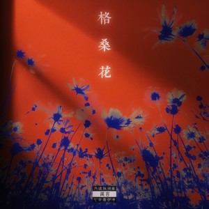 格桑花封面