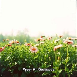 Pyaar Ki Khushboo