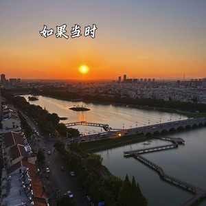 口琴伟宝 - 如果当时