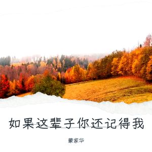 如果这辈子你还记得我