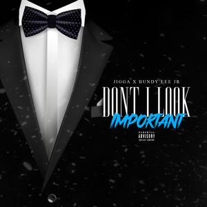 Look Important (feat. Jigga) [Explicit]