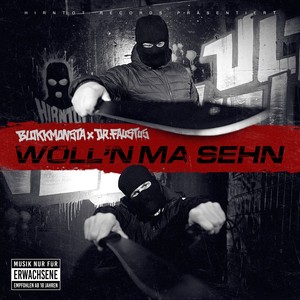 Woll'n ma sehn (Explicit)