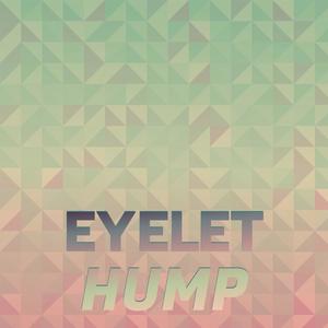 Eyelet Hump