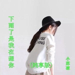 下雨了是我在想你 (纯享版)