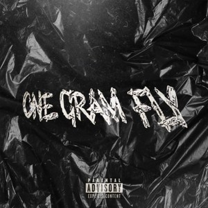 One Gram Fly (Explicit)