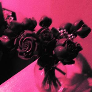 we thru! (feat. vtvnx!) (Explicit)