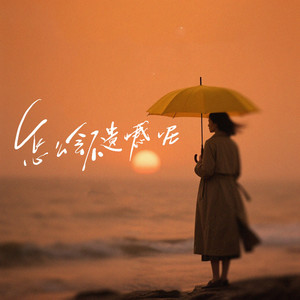 怎么会不遗憾呢 (DJ开阳版)