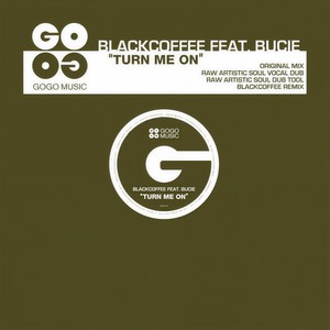 Turn Me On (Raw Artistic Soul Vocal Dub)