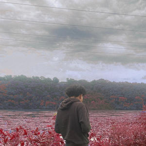 Try So Hard (For You) (Explicit)