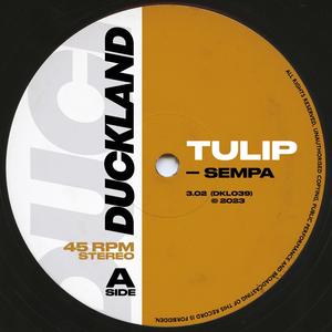 TULIP