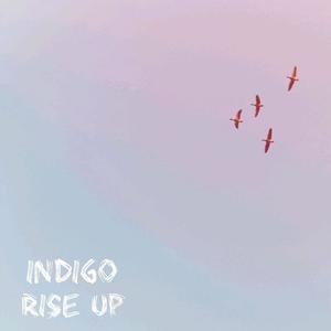 Indigo Rise Up