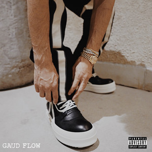 Gaud Flow (Explicit)