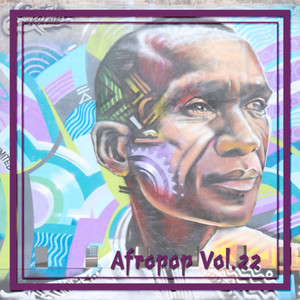 Afropop Vol. 22