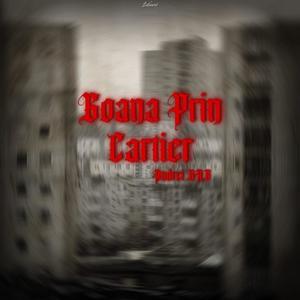 Goana prin cartier