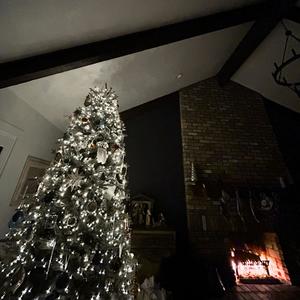 Sleigh Ride Bass Boosted