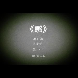 《感》