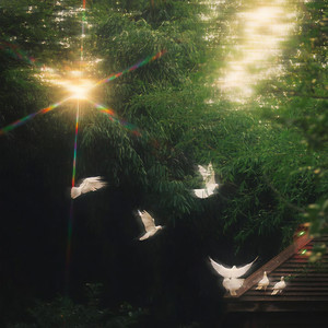 风是自由的 你也是 (ZY)