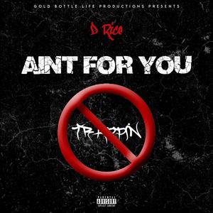 Aint For You (Explicit)