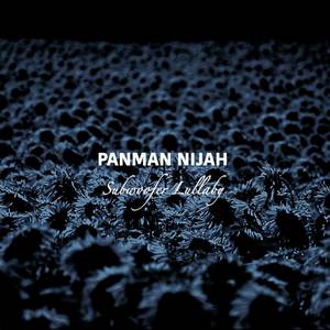 Subwoofer Lullaby (Pan Drum Version)