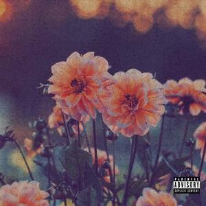 tranquillity! (peace) (Explicit)