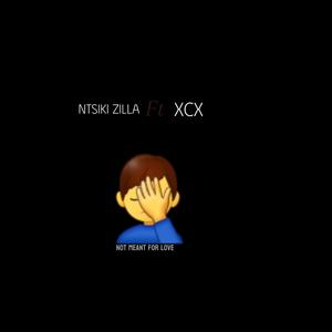 NMFL (feat. XCX) [Explicit]