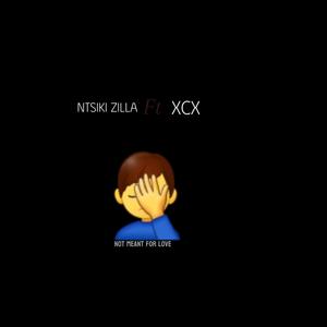 NMFL (feat. XCX) (Explicit)