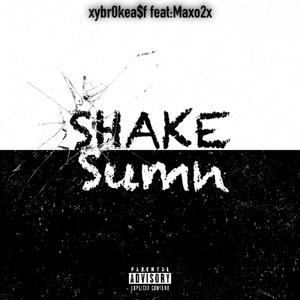 Shake Sumn (Explicit)