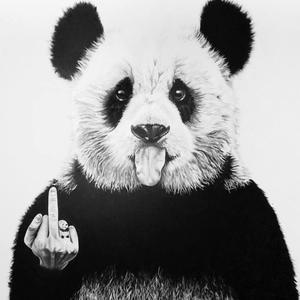 Gang (feat. Panda, Lil Savage & Rain) (Explicit)