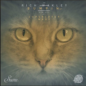 Rich Wakley - Bumpin