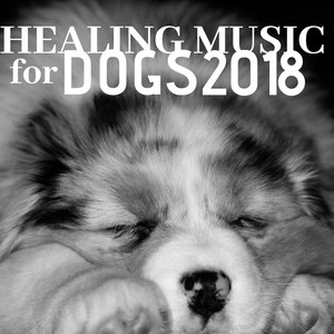 Healing Music for Dogs 2018 - Soothing Music Machine for Sleep